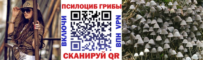Псилоцибиновые грибы MAGIC MUSHROOMS  Закаменск 